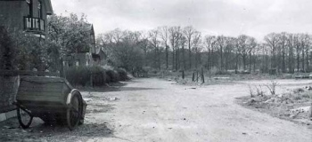 antilopestraat-1960_1038