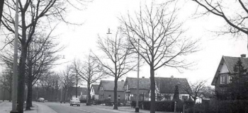 arnhemseweg-richting-eendrachtsraat-1959kl_1038