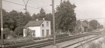 assel02kl_1038