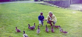 asselsestraat-sprengenpark_1038