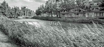 kanaal-noord-foto-luud-riphagen_1038