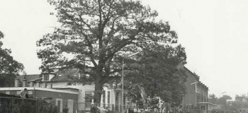 kanaal.n-1980-gasfabriek-bij-dev-brugkl_1038