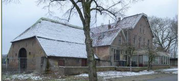 Den-eikenboom-voor-de-renovatie-wm-2