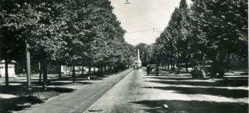 loolaan1951_1038