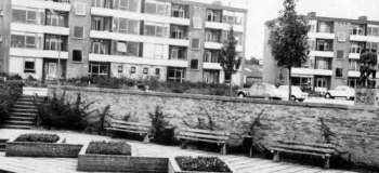 moeflonstraat969kl_1038
