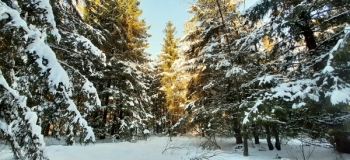 Assel-Hoog-Soeren-12-Febr-2021-11