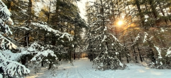 Assel-Hoog-Soeren-12-Febr-2021-12