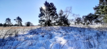 Assel-Hoog-Soeren-12-Febr-2021-2