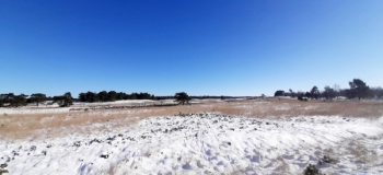 Assel-Hoog-Soeren-12-Febr-2021-6