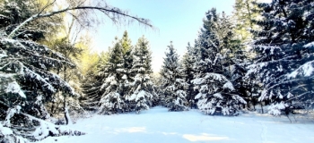 Assel-Hoog-Soeren-12-Febr-2021-7