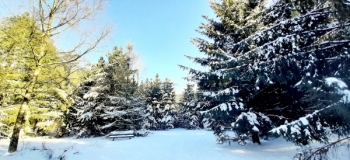 Assel-Hoog-Soeren-12-Febr-2021-8